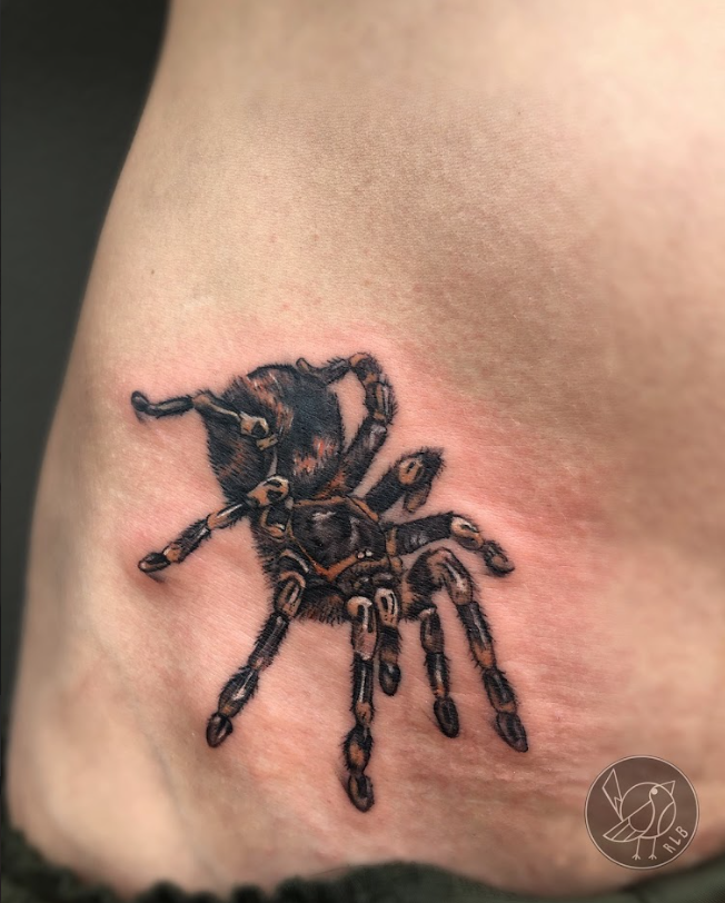 Tarantula